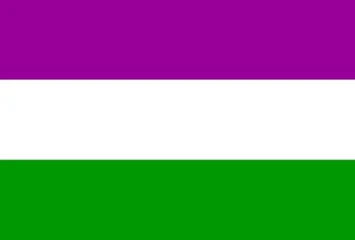Trans-Exclusionary Radical Feminists (TERFs)/Trans-Exclusionary Radicals (TERs)/Feminism-Appropriating Reactionary Transphobes (