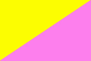 Pink capitalist/rainbow capitalist/homocapitalist/gay capitalist